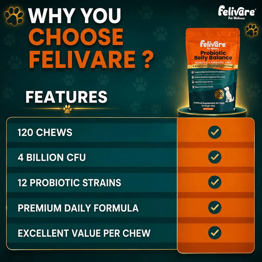 Why Felivare